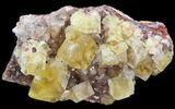 Lustrous, Yellow Cubic Fluorite Crystals - Morocco #44896-1